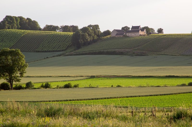 View Cannerberg