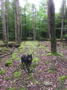 Fitz pausing for a photo op