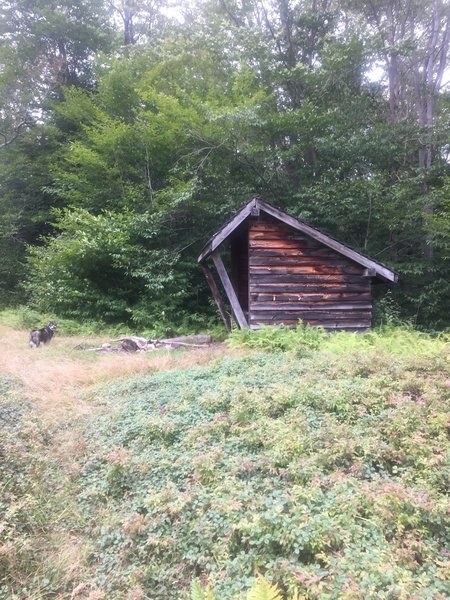 Small shelter mid-way on the trail