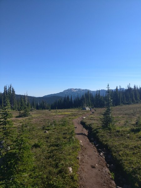 Singletrack on the return journey toward Helm creek