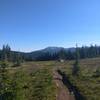 Singletrack on the return journey toward Helm creek