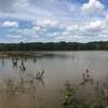 Wetlands vista (with crane)