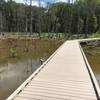 Blue heron on the left of the boardwalk, crane fishing on the right!