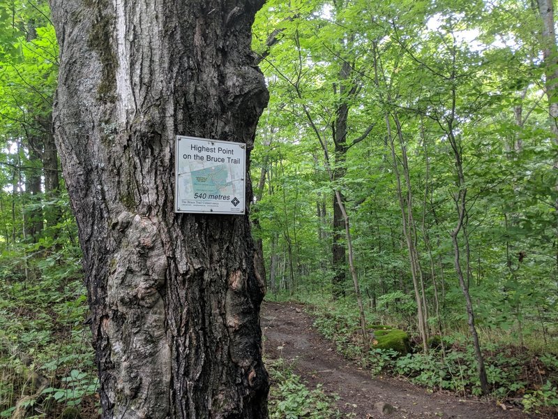 High Point on Bruce Trail