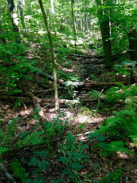 Dry river bed from Ottawa River