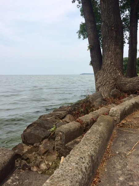 View of the Green Bay looking North. Part of the Cofrin Arboretum trail system at UWGB