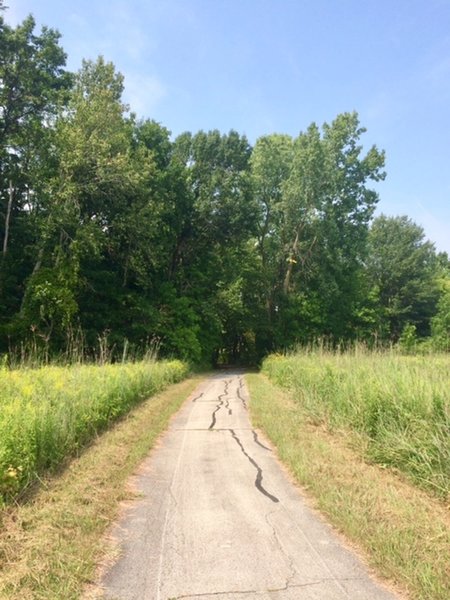 Paved Perimeter loop of the Cofrin Arboretum