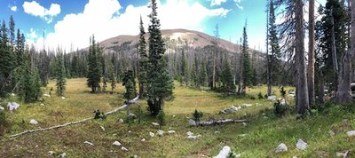 Looking back at Cameron Peak from a meadow about 4 miles in to the hike.