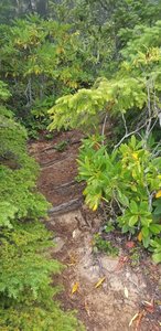 This is the start of the second side trail.