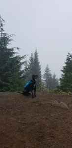 This is at the 'end' of the trail. Quite a few trees so I'm not sure how good the view is without the clouds.