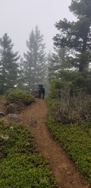 This is a little ways into the spur trail to the left. It's pretty narrow but not hard to hike.