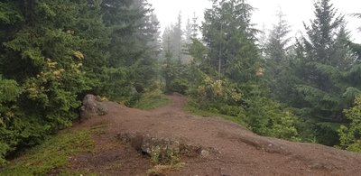 This is what the beginning of the spur trail looks like.
