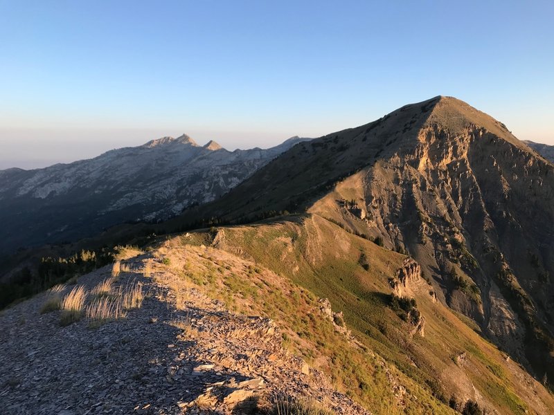 The morning sun on Box Elder, as viewed from South Box Elder. Plus Lone Peak and Big Horn in the background, to the left of Box Elder.