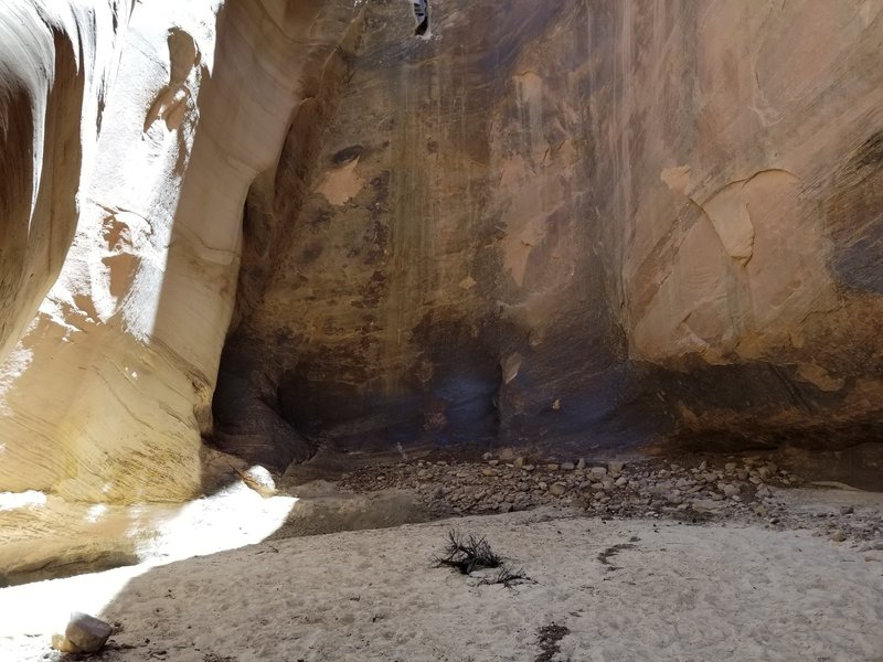 At the end of the hike, you come upon a rounded out cavern with an open roof.