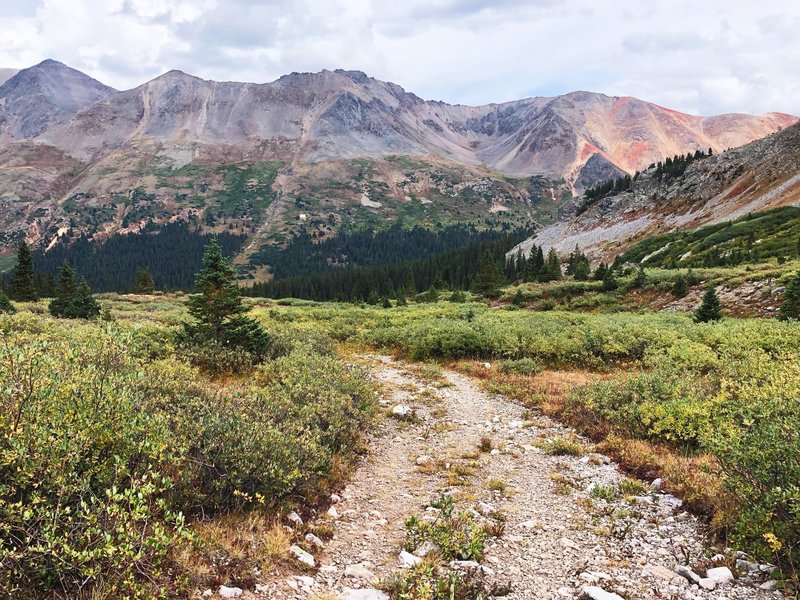 The trail winds between old 4x4 roads and singletrack depending on how much nature has managed to take over.