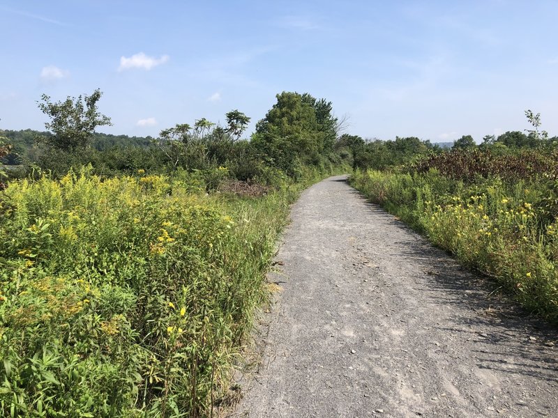 The trail heading away from the parking lot