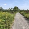 The trail heading away from the parking lot