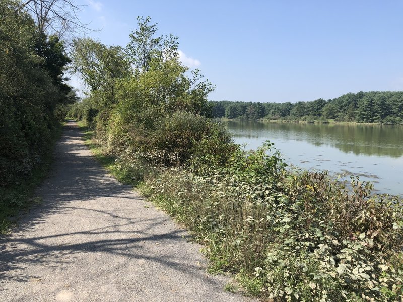 Trail following the lake