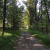 Trail leading into the woods