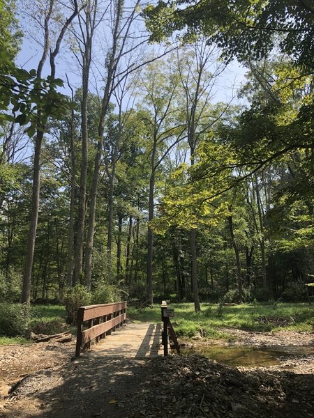 Bridge crossing along the trail