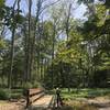 Bridge crossing along the trail