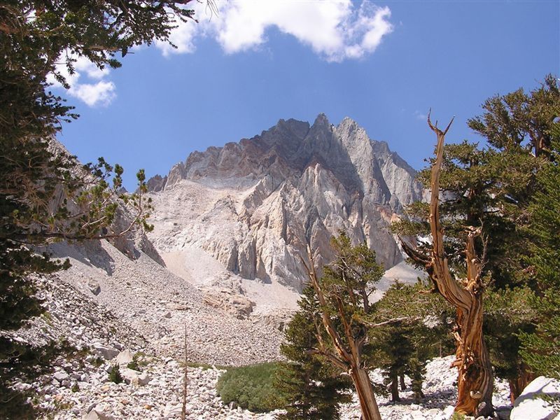 Split Mountain from the approach trail, a stunning face of the peak even in this low res old pic.