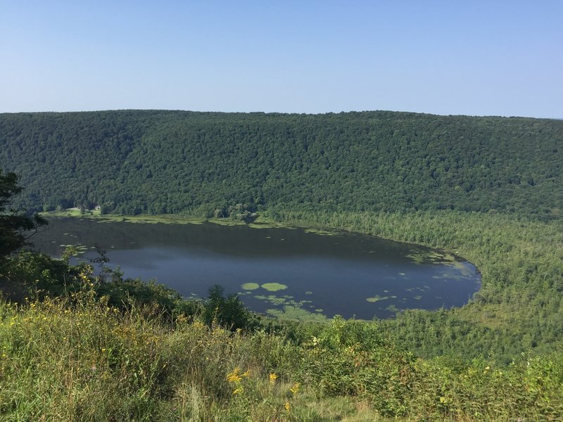 Labrador Pond from overlook.