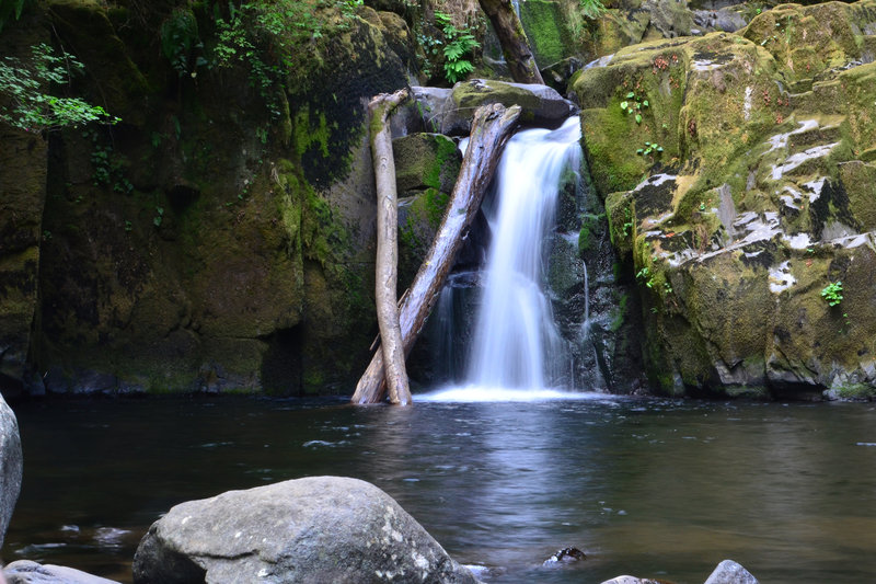 Sweet Creek Falls