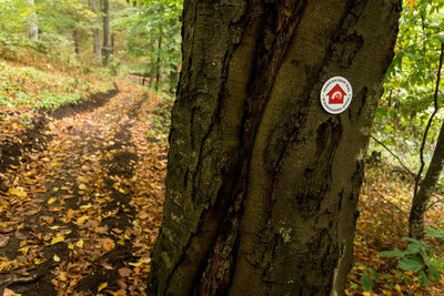 A forest trail marker on the Transcaucasian Trail in Dilijan National Park.