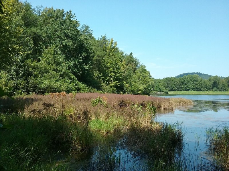 Looking west from the trail