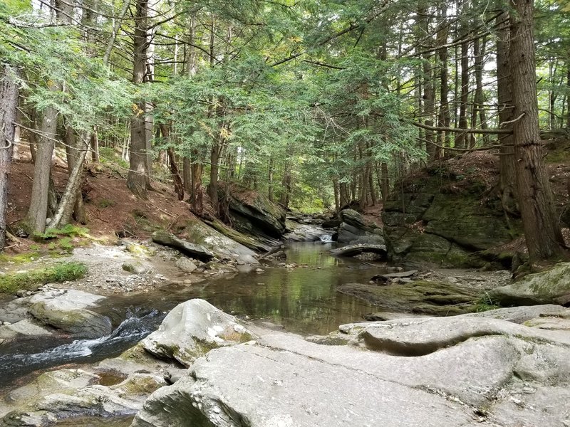 View of Cobb Brook at the top of Hamilton Falls