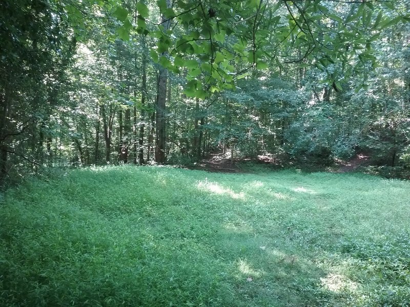 View along the greenway