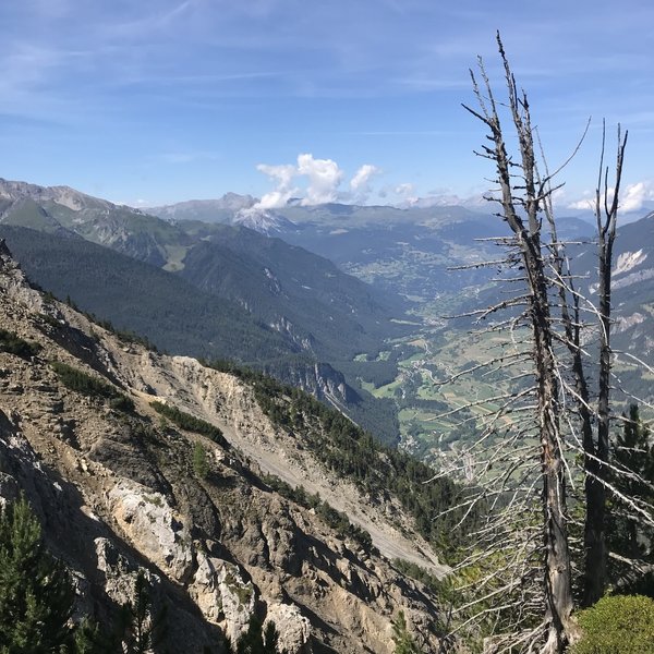 Steep descent on wet grass down to Jenisberg