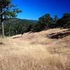 A meadow along Liz's Trail