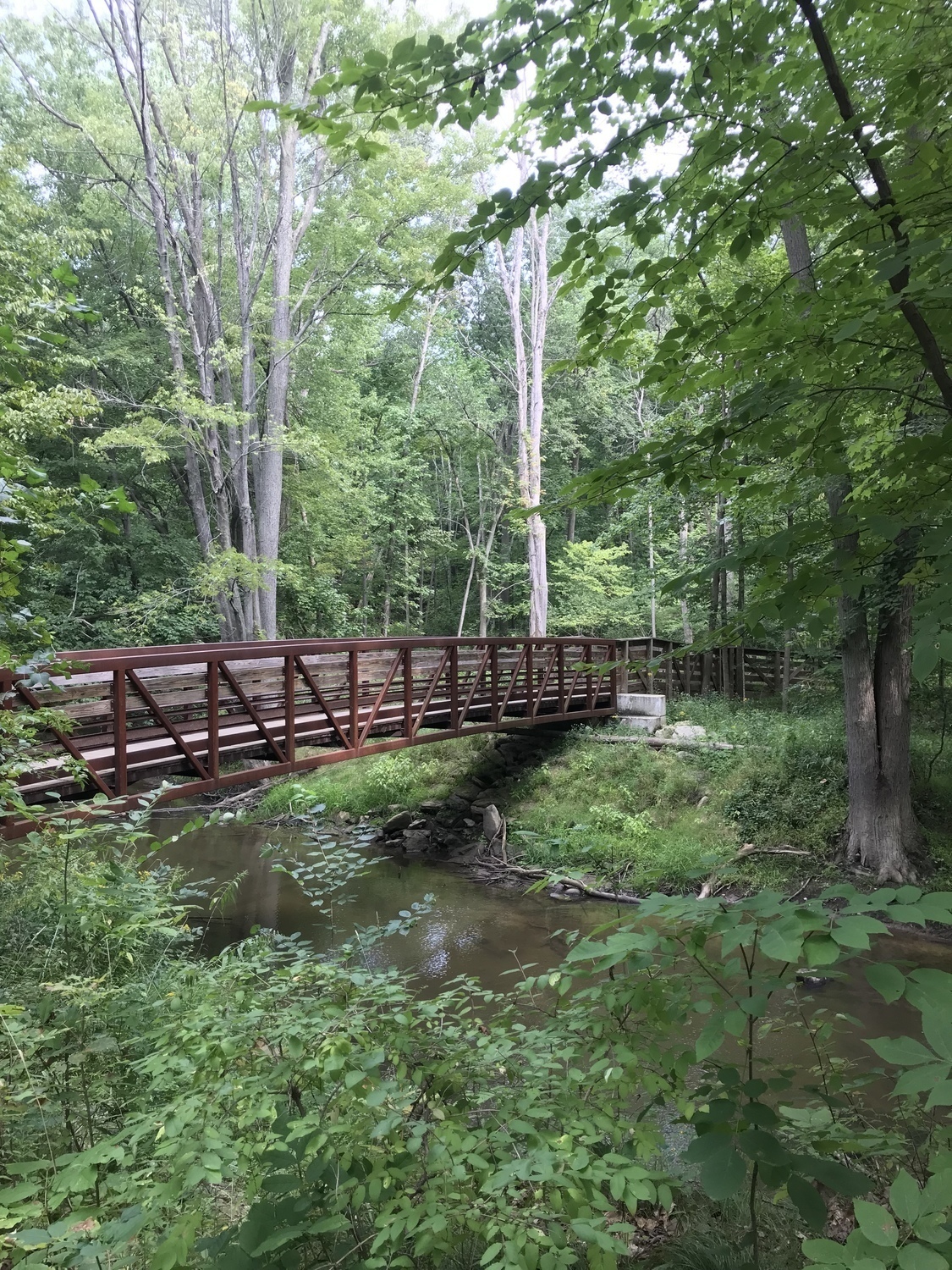 Bridge at For Mar Nature Preserve Arboretum