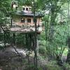 Tree house at For-Mar used for different learning programs