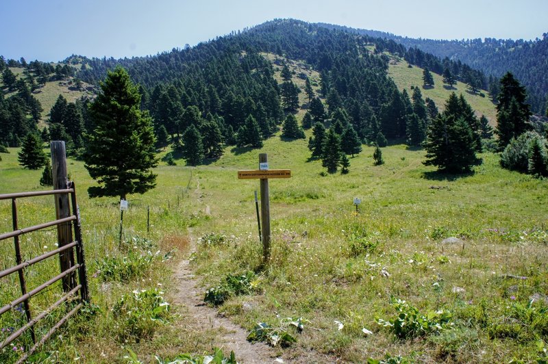 The trail heads up the hill in the background