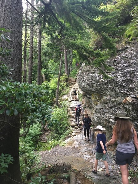 A steeper ledge lines the side of the trail.