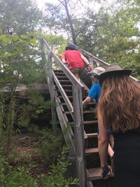 A small set of stairs near the beginning of the trail.