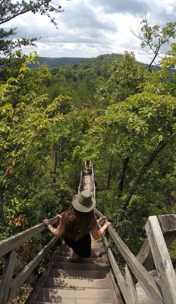 Going down a long flight of stairs.