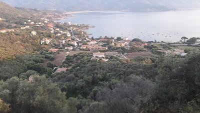 Tiuccia