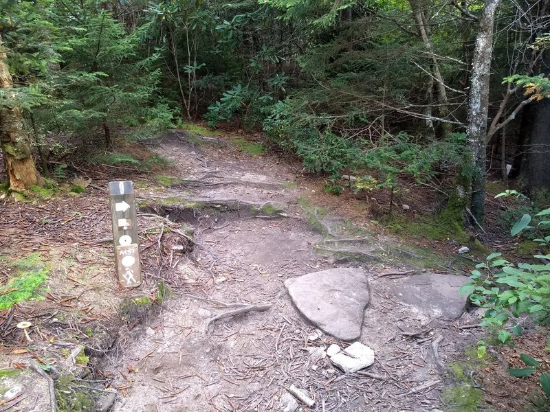 This is an unmarked connector trail from the Mountain to the Sea Trail (MST) to Devil's Courthouse.  It is an easy,  well worn trail.