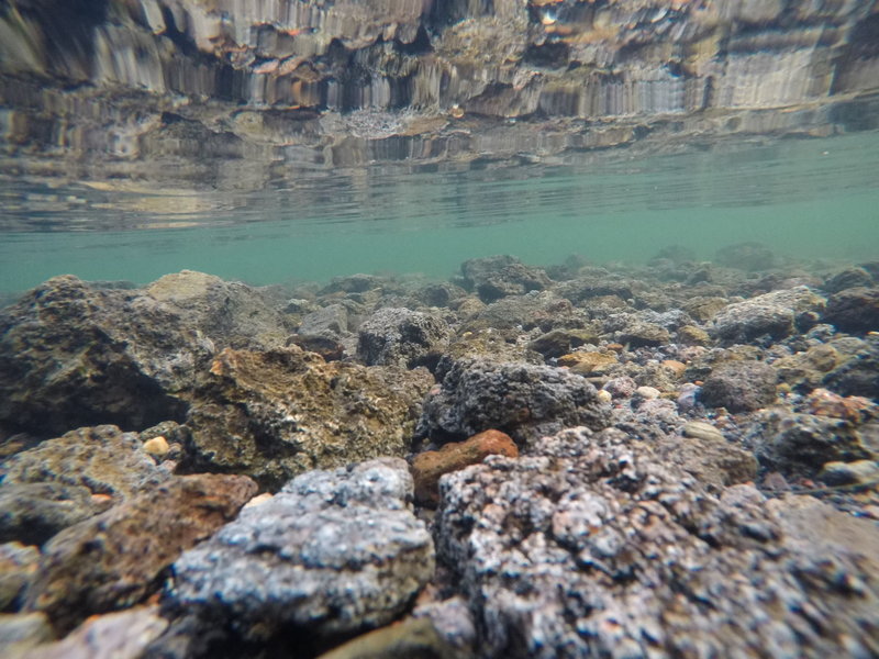 Looking in Lake Jackson.