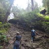 The steep scramble to the upper falls (not necessary to view falls).