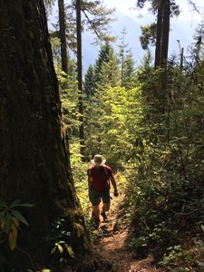 Hiking up the trail.