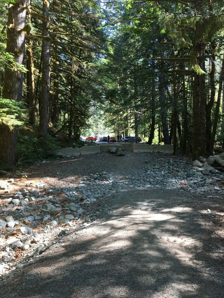 Looking back to the parking lot from the start of the road leading to the start of the Snoqualmie Lake Trail.