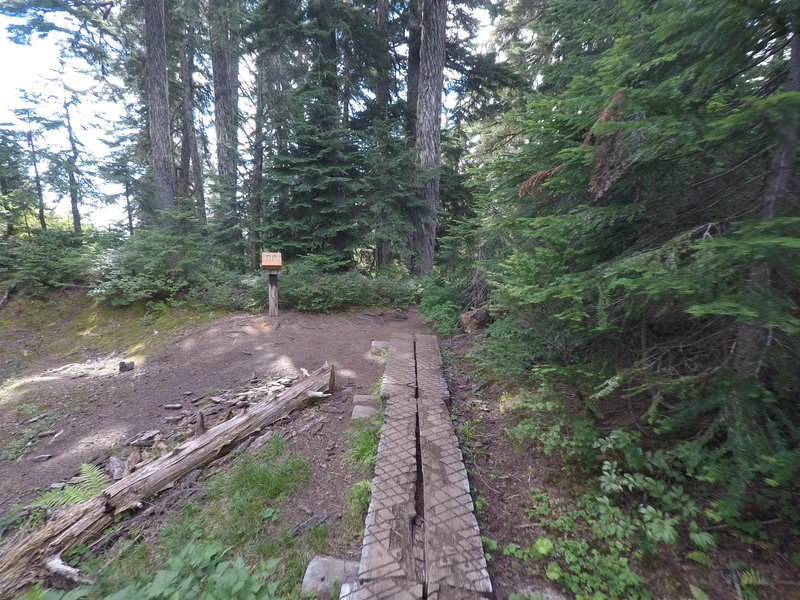 A small boardwalk along the trail.