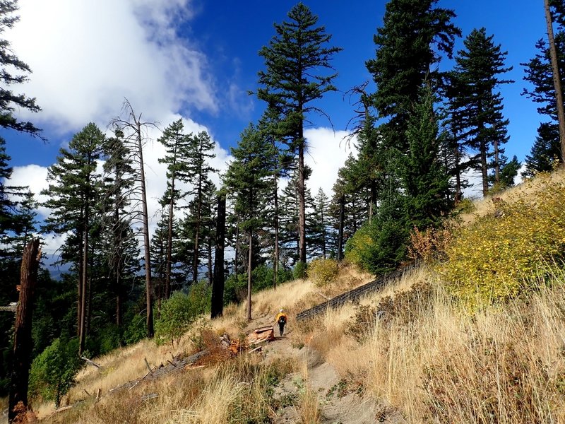 Descending toward the Greenstone Trailhead