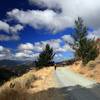 On the road toward the Griffin Gap Trailhead