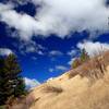 Open slopes above the Grub Gulch Trailhead